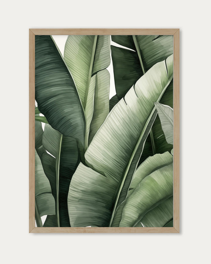 Banana Leaf Art Print