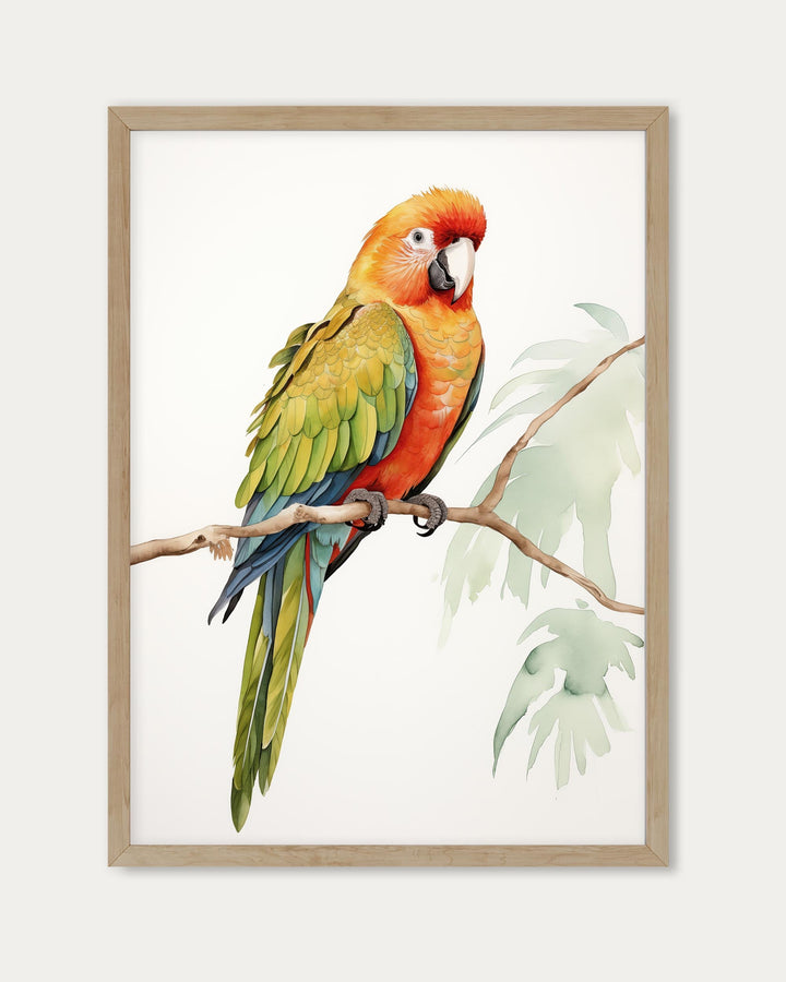 Colourful Parrot Wall Art Print