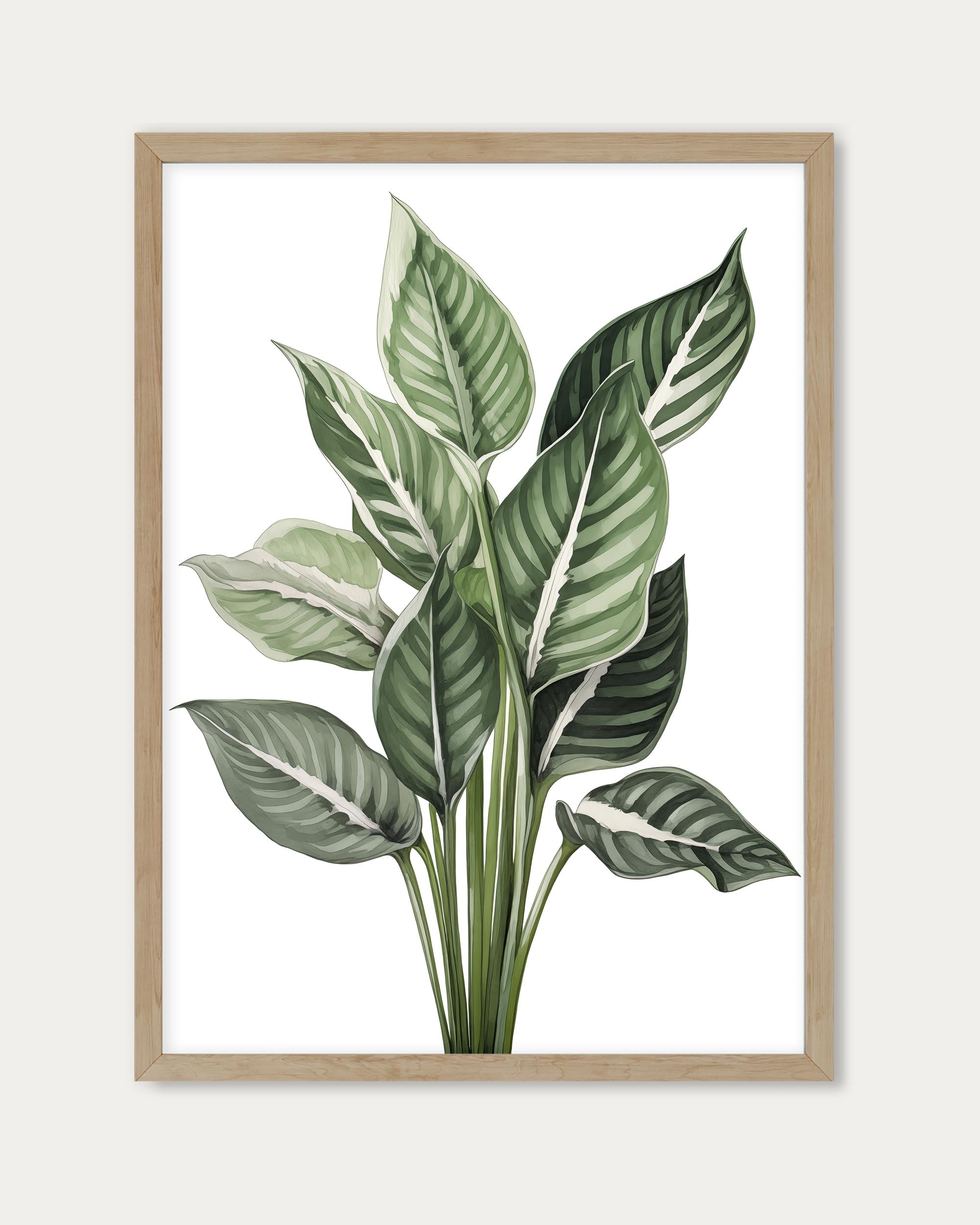 Botanica Wall Art Print