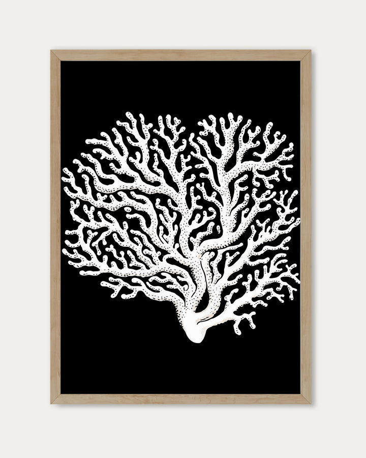 Monochrome Coral II Art Print