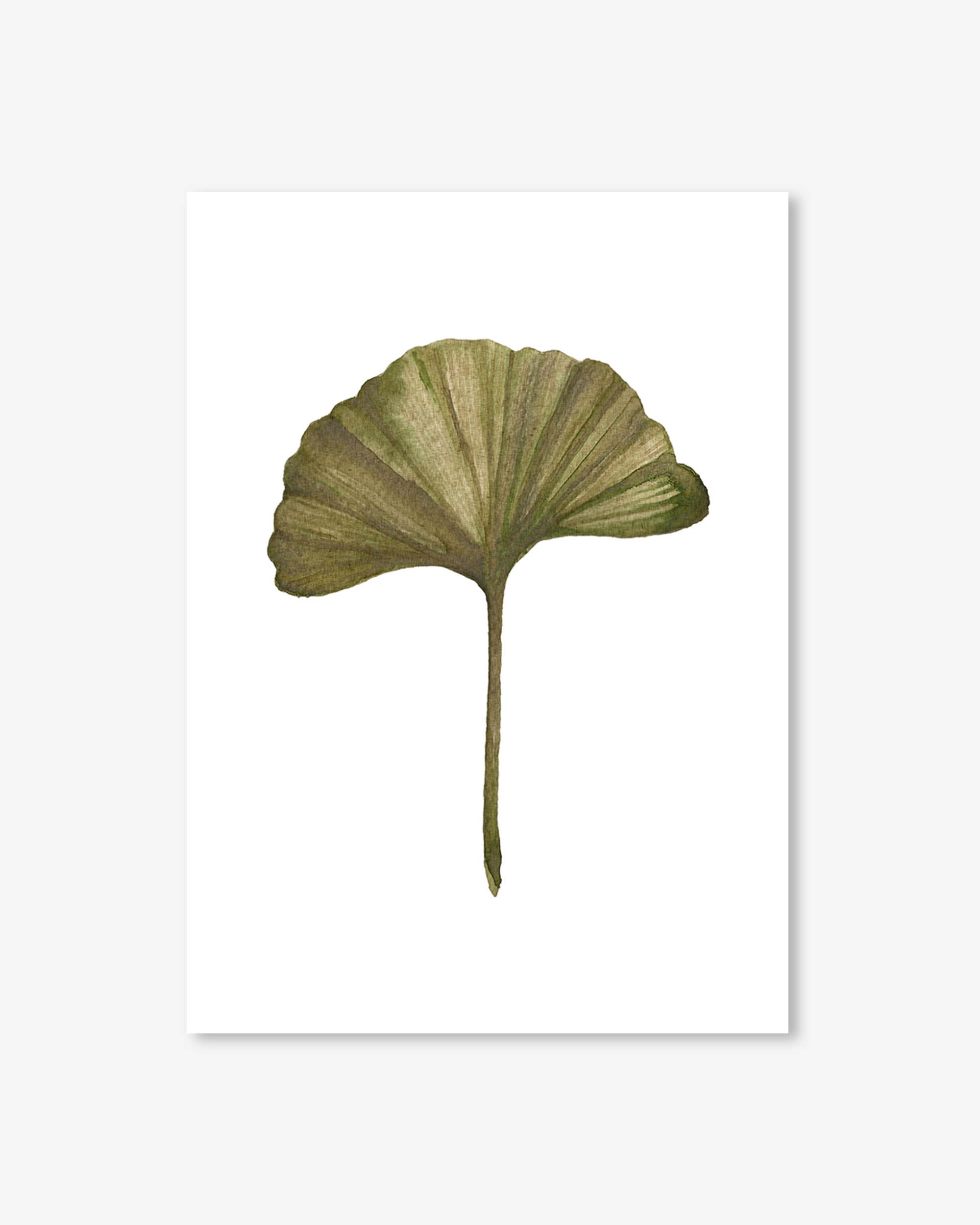 Illustration of a green leaf on a white background