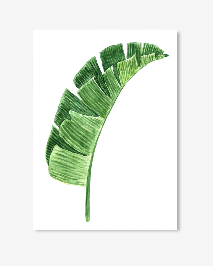 watercolour botanical leaf print on paper