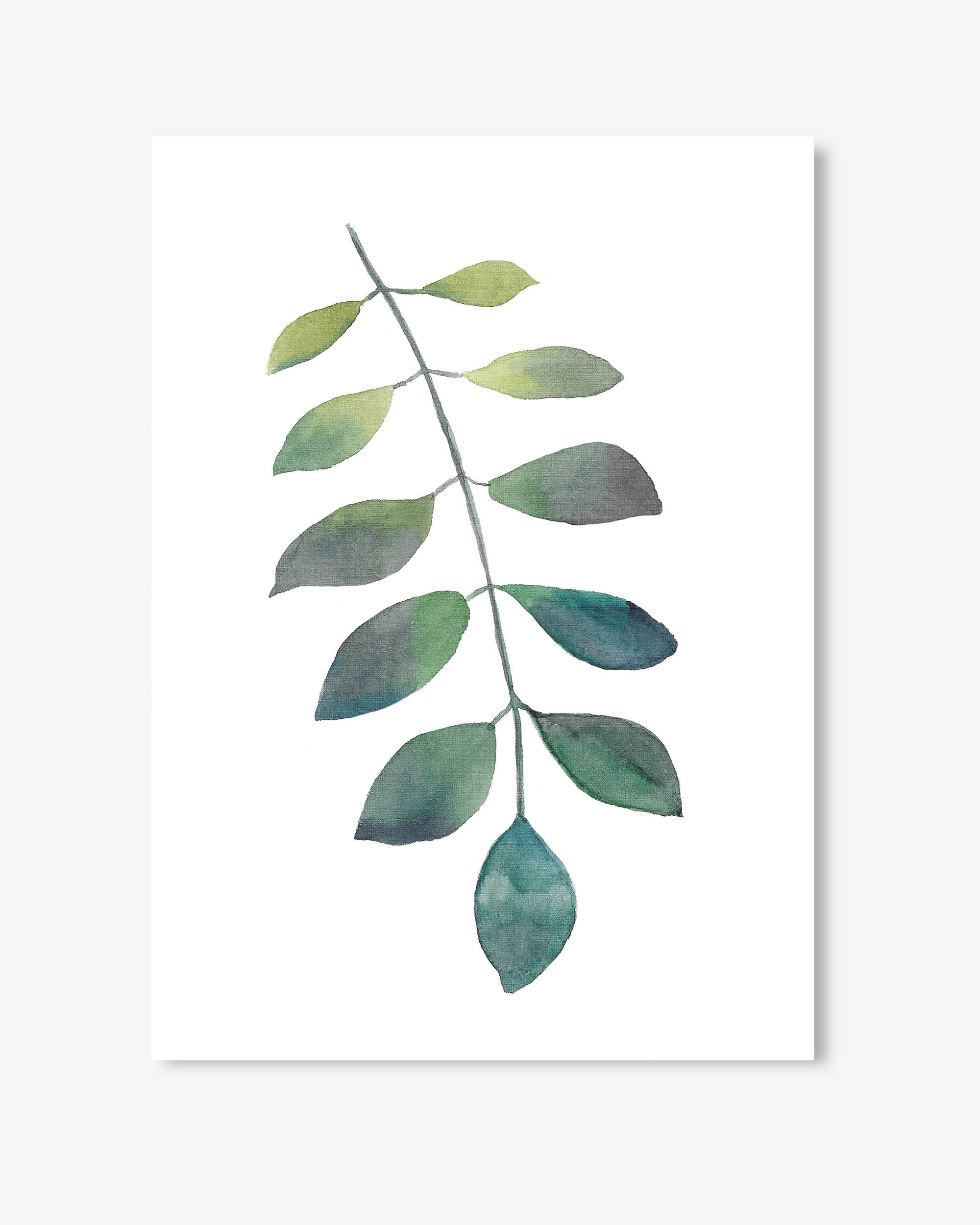 Dog Leaf Watercolour Art Print