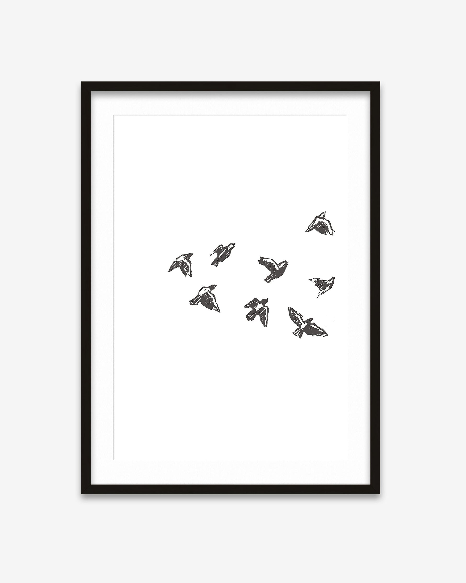 Framed artwork with black line drawings of birds on a white background