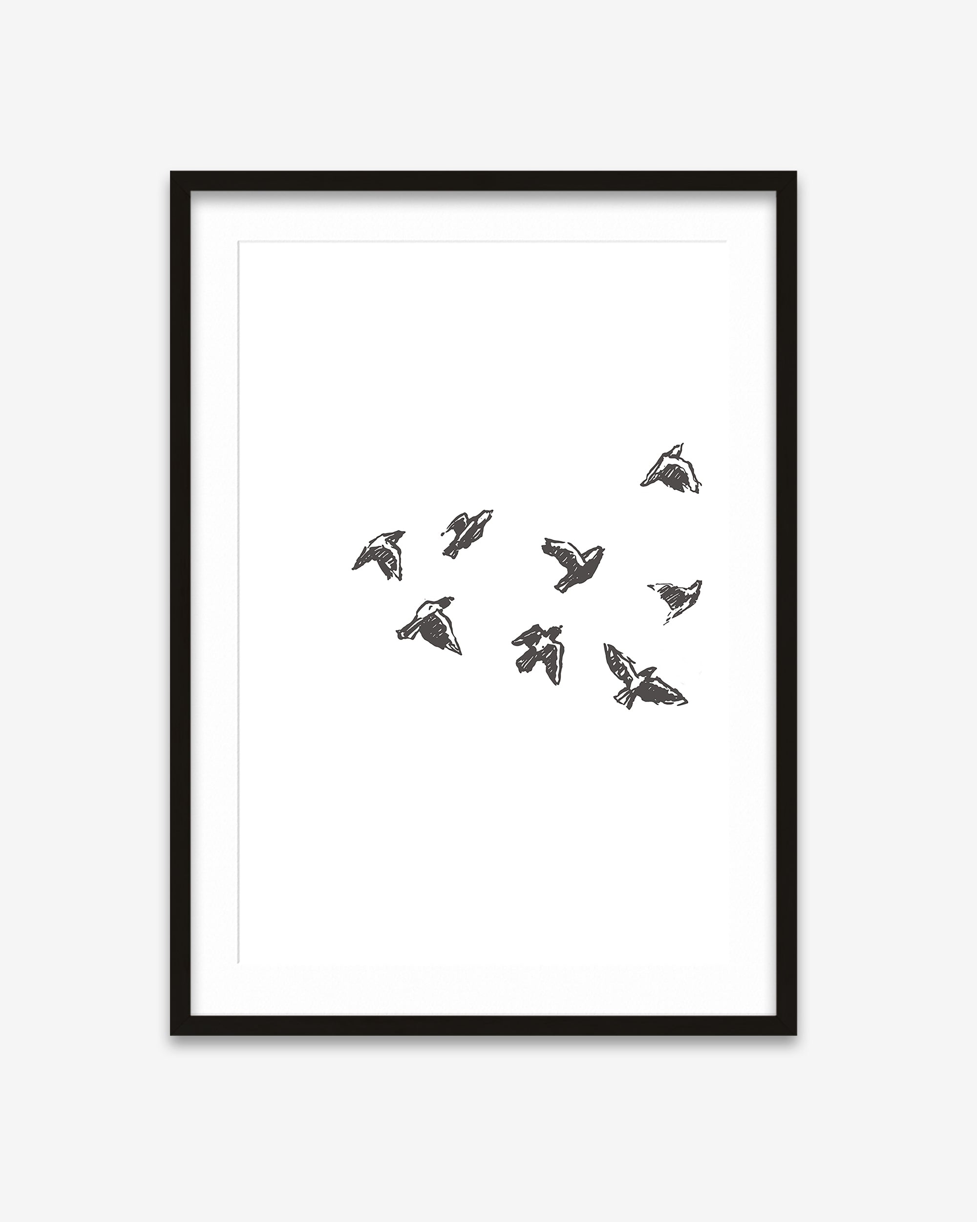 Framed artwork with black line drawings of birds on a white background