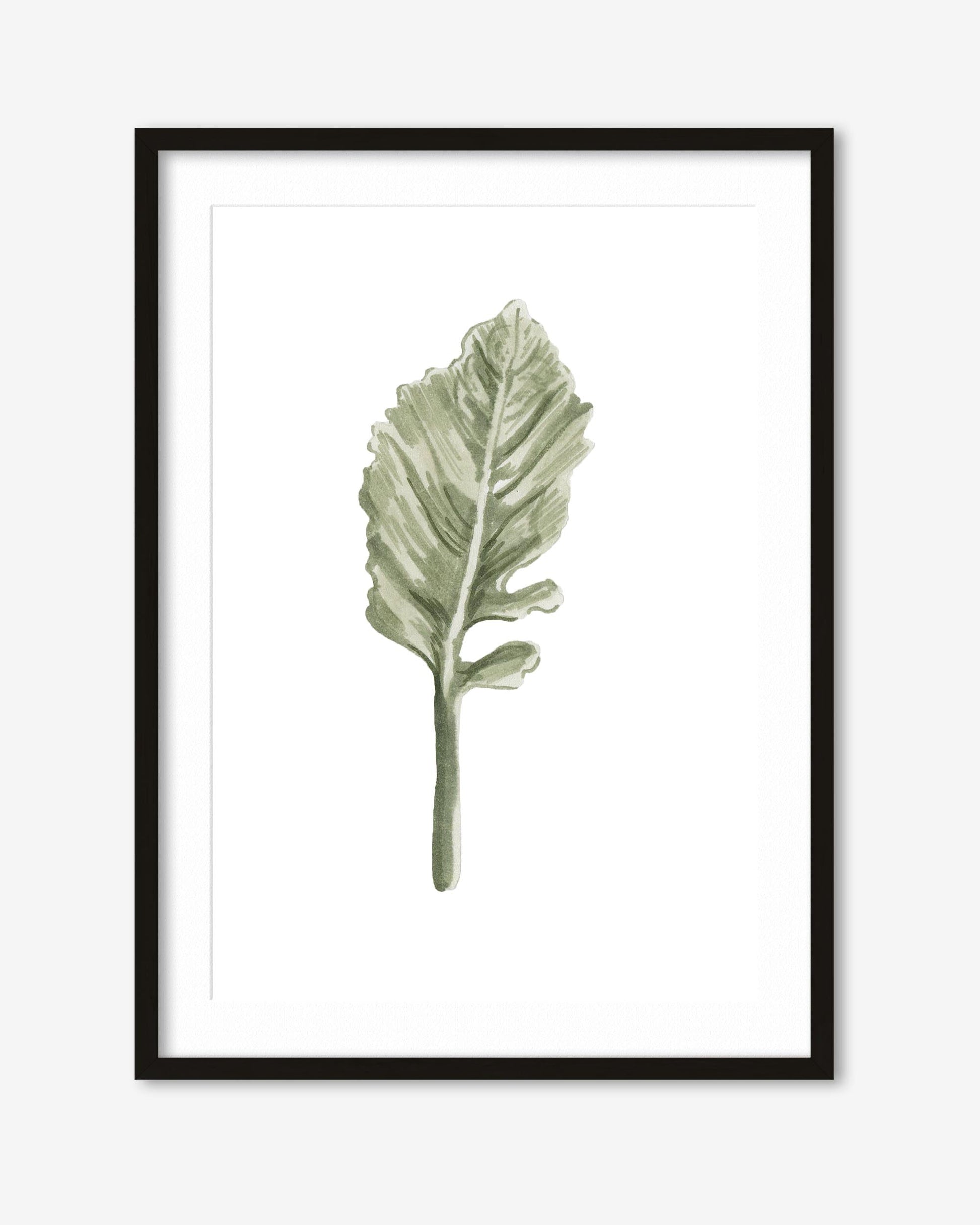 Framed artwork of a green leaf on a white background
