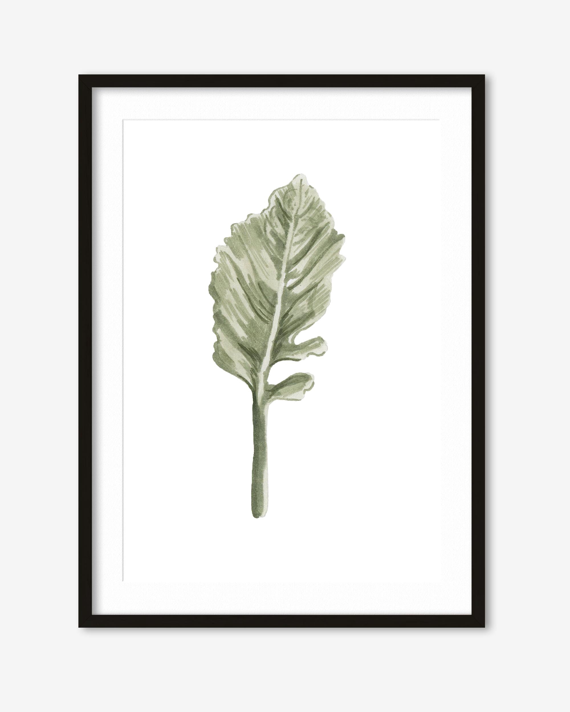 Framed artwork of a green leaf on a white background