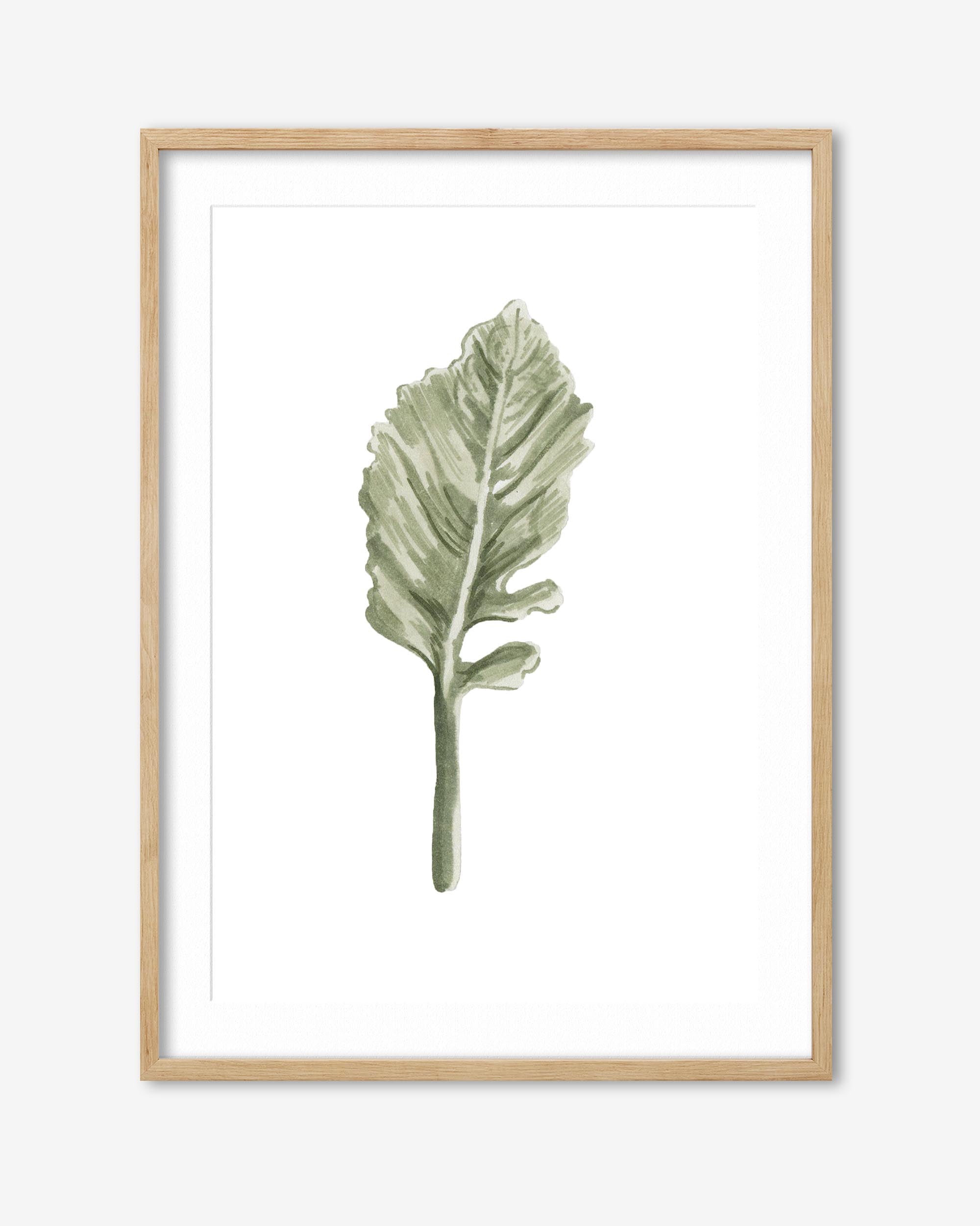 Framed artwork of a green leaf on a white background