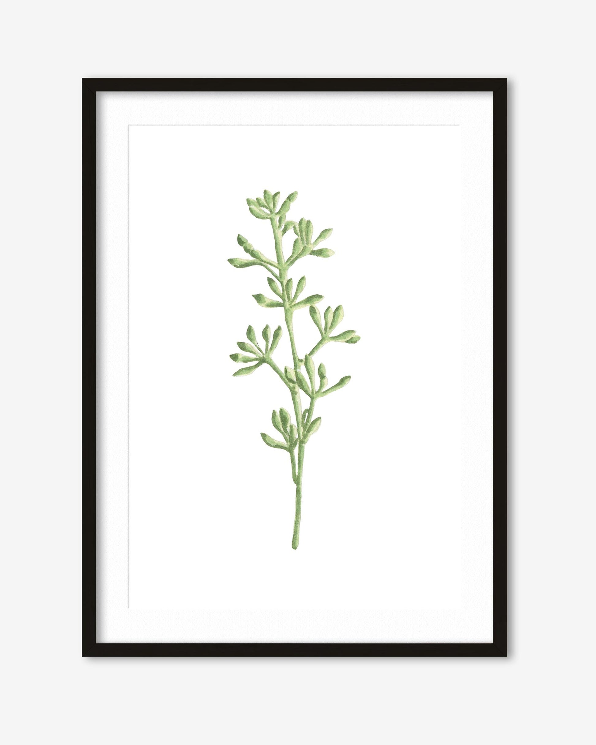 Framed artwork of a green plant on a white background