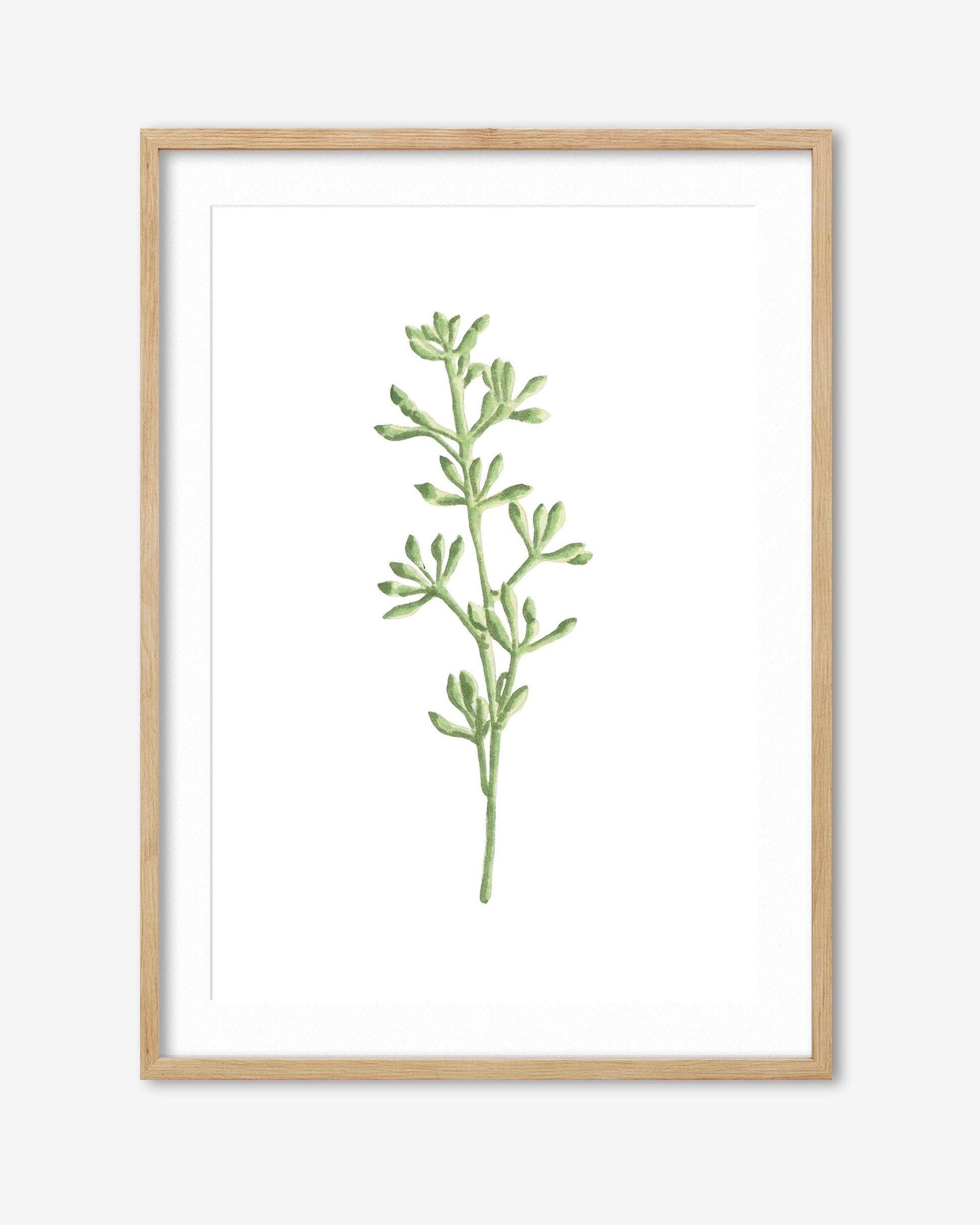Framed artwork of a green plant design on a white background