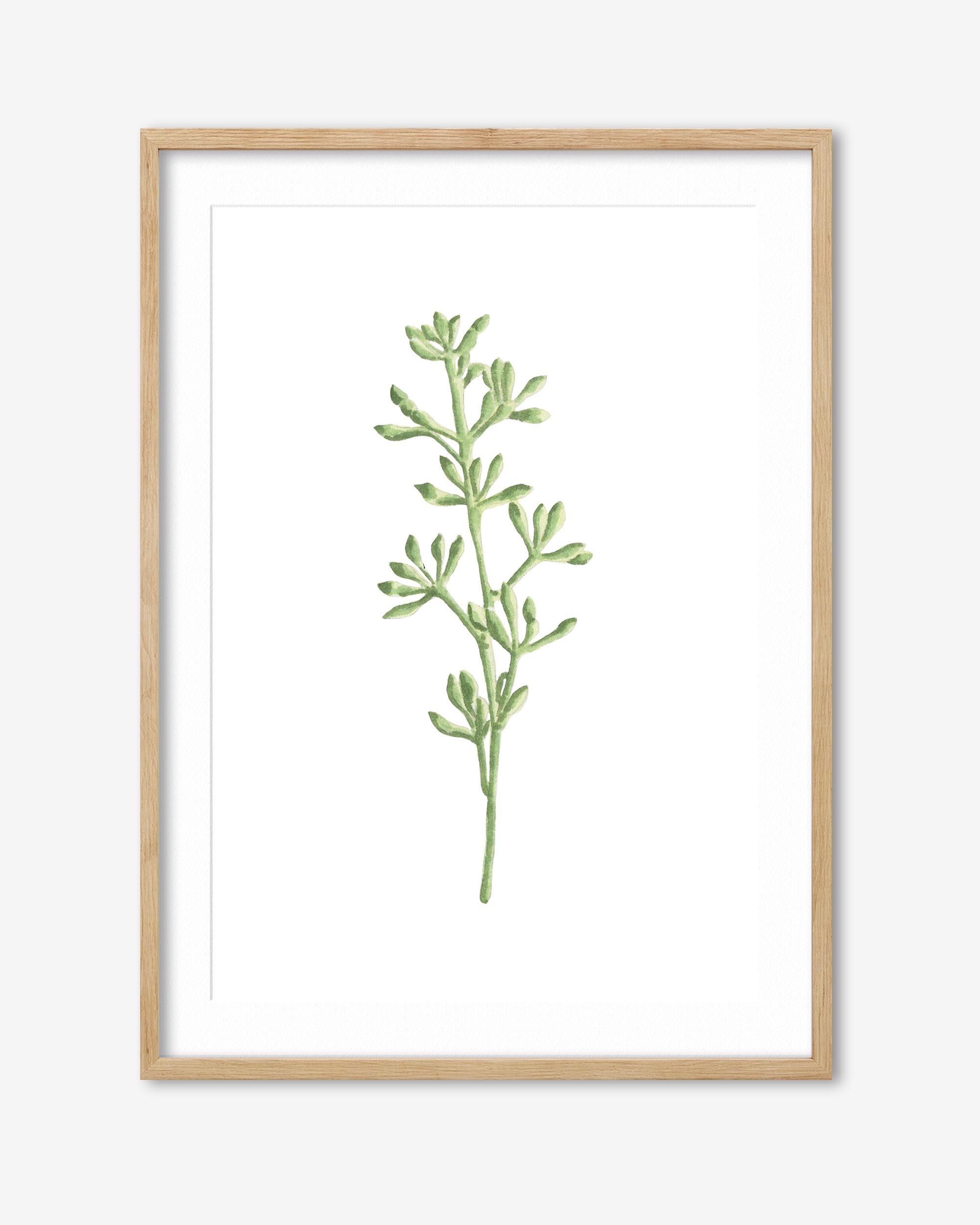 Framed artwork of a green plant design on a white background