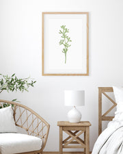 Framed plant art on a wall above a wooden side table with a lamp in a room setting.
