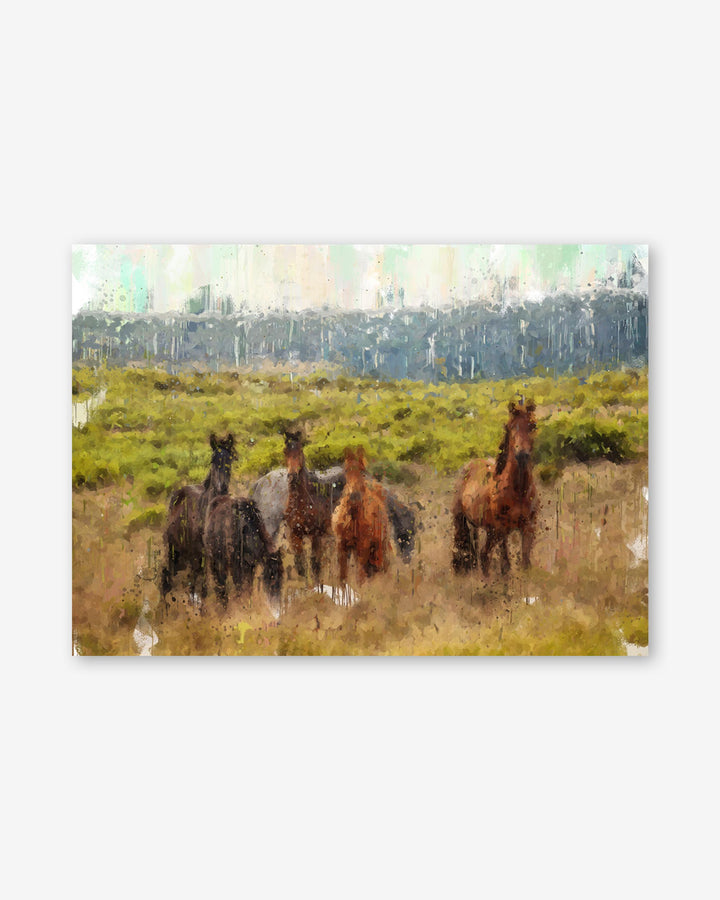 Horses standing in a grassy field with a mountainous background