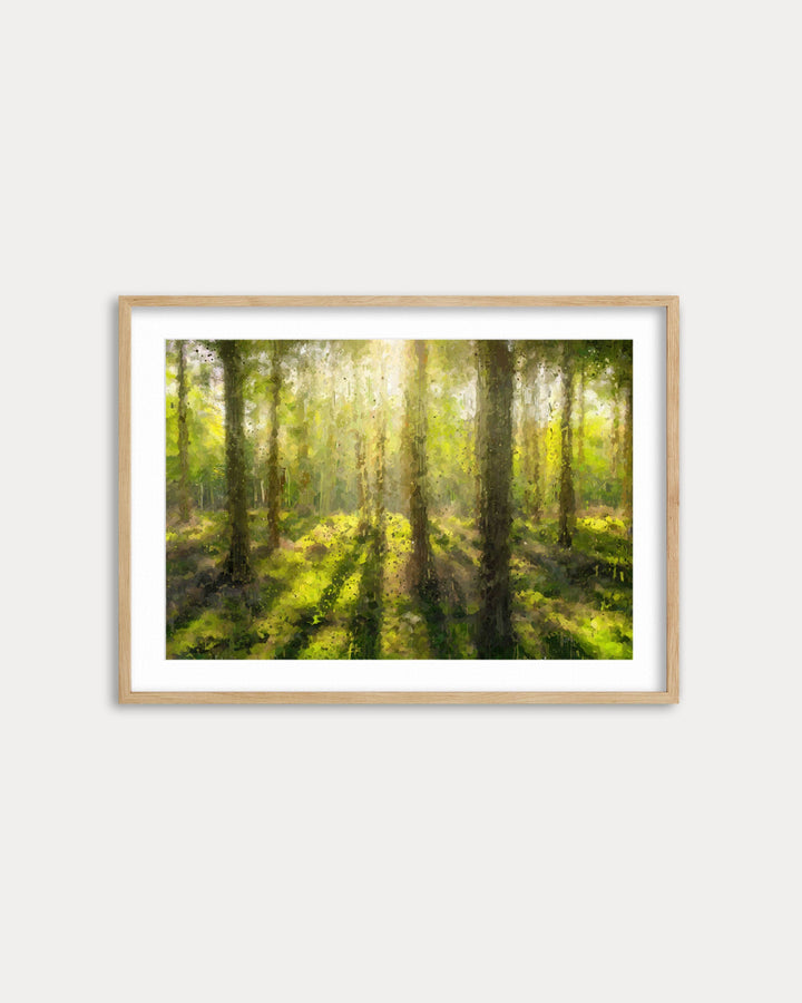 Framed artwork of a forest scene with sunlight filtering through the trees on a white wall.