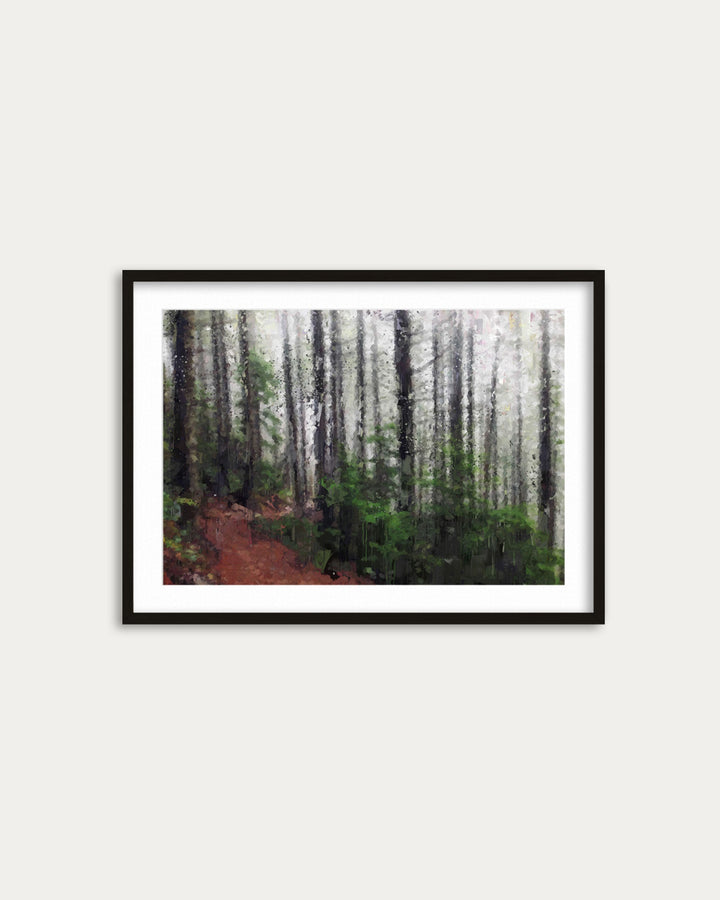 Framed photograph of a forest path on a white wall