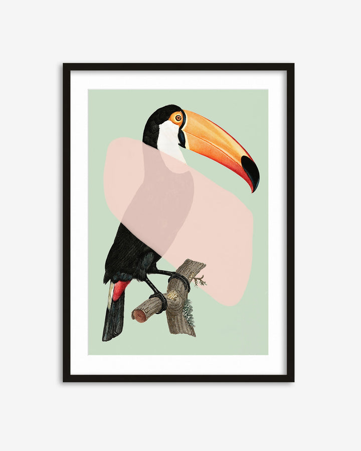 Framed artwork of a toucan on a light green background