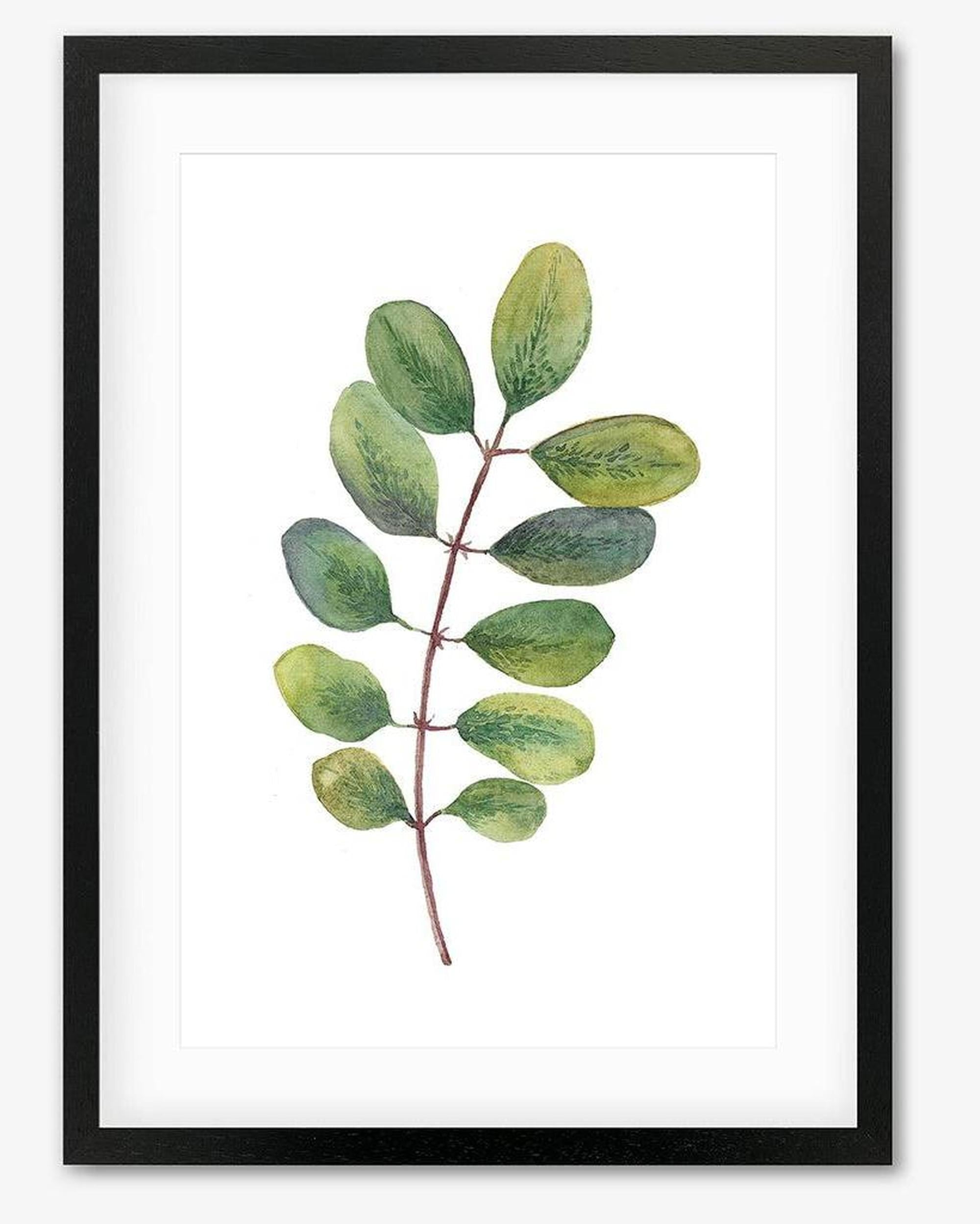 Acacia Watercolour Leaf Framed Art - Black Frame - Abstract House