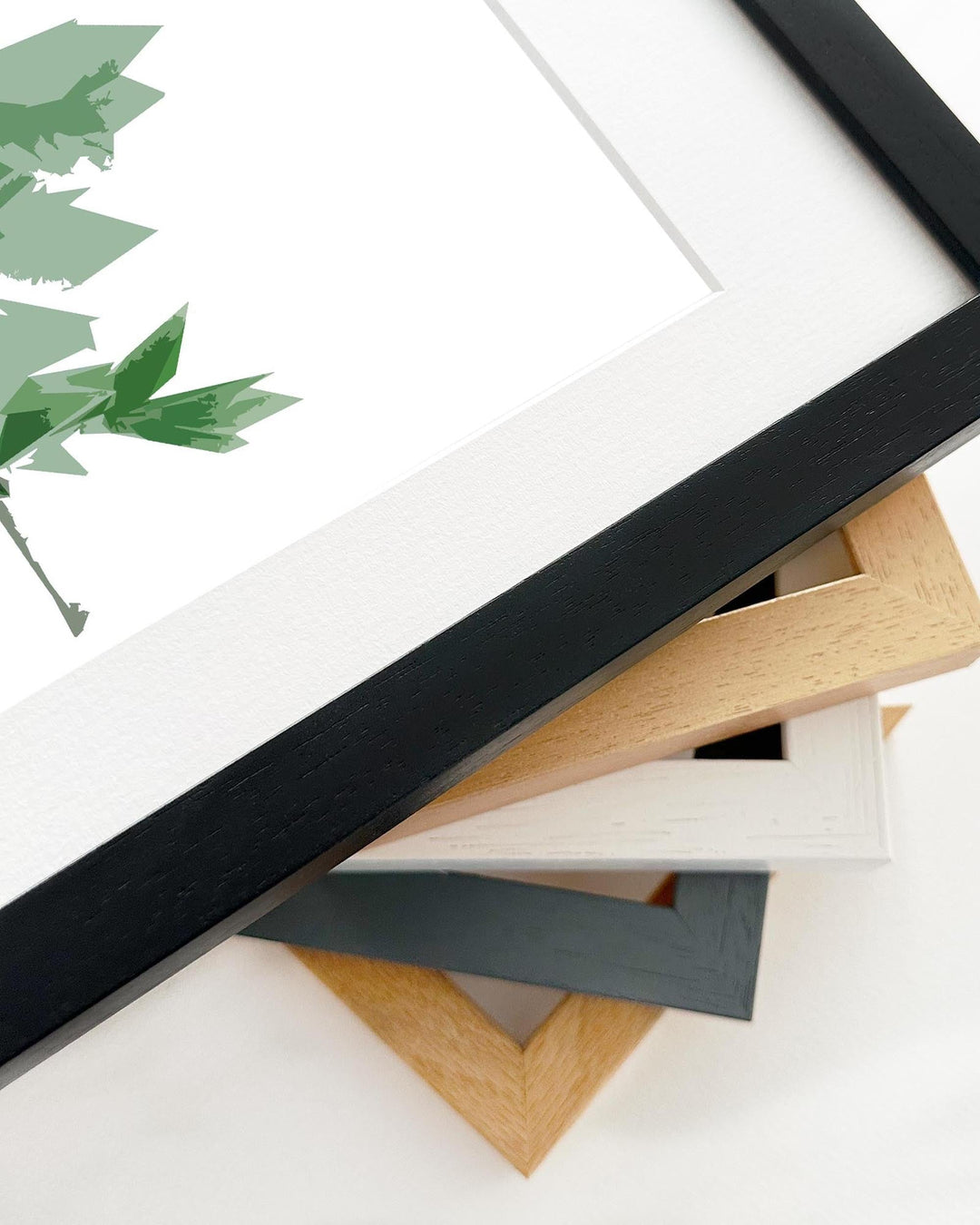 Collection of various wooden picture frames on a white surface with a plant in the corner.