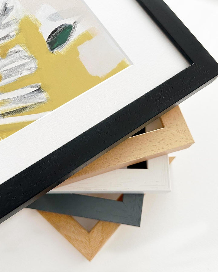 Collection of various photo frames on a white background