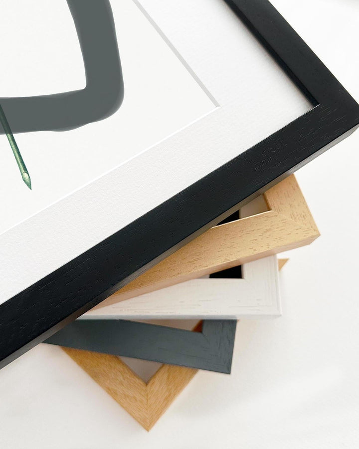 Collection of various picture frames on a white background