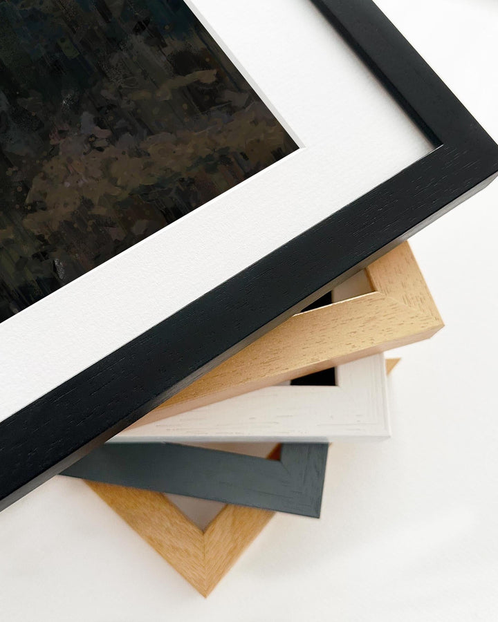 Collection of various photo frames in different colors on a white background