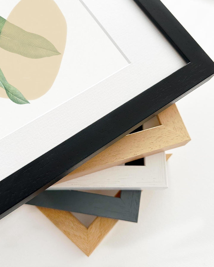 Collection of various photo frames on a white background
