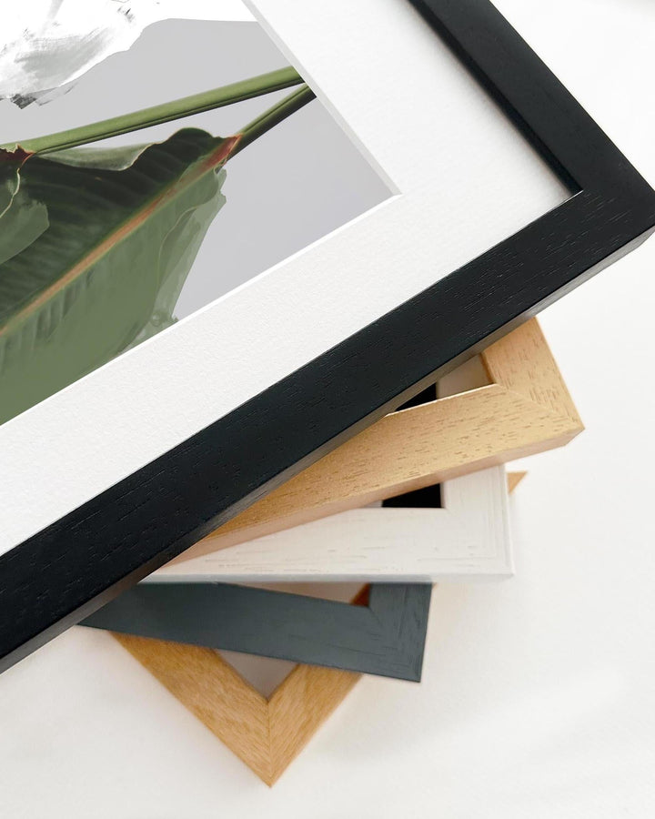 Collection of various photo frames on a white background