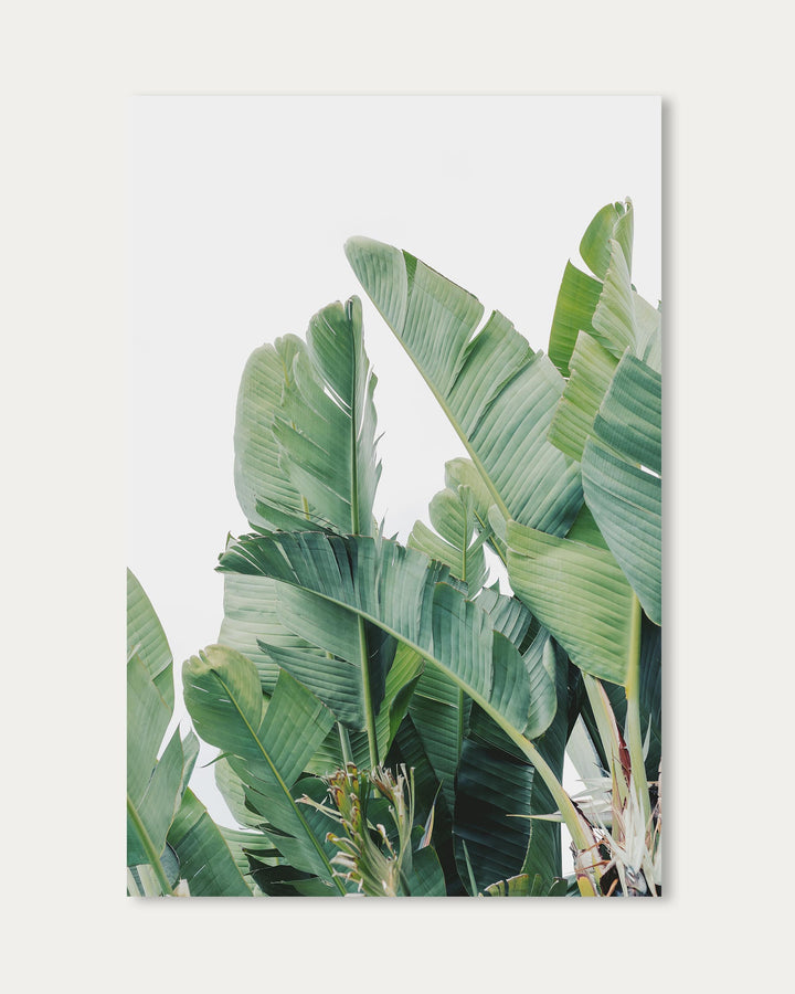 Green Botanical Leaves Wall Art Print