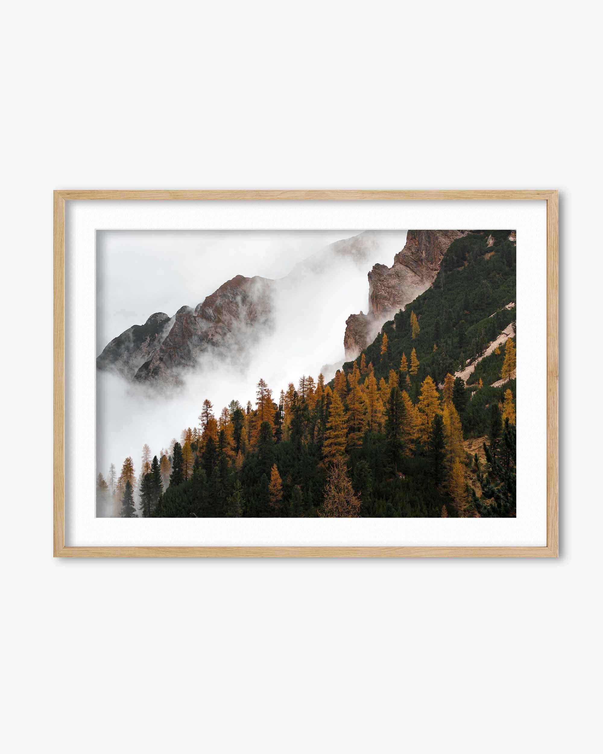 Autumn Forest Landscape Art Print