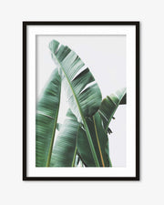 Banana Leaf Wall Art Print