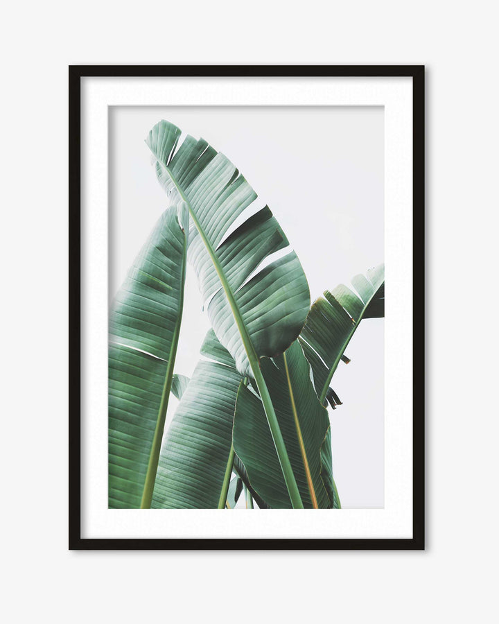 Banana Leaf Wall Art Print