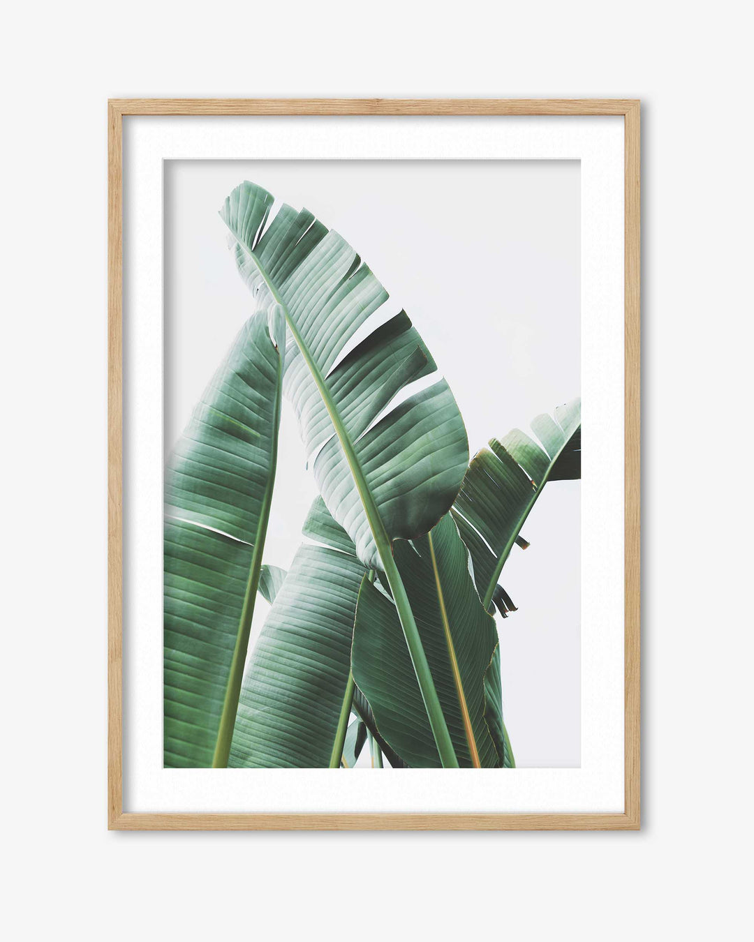Banana Leaf Wall Art Print