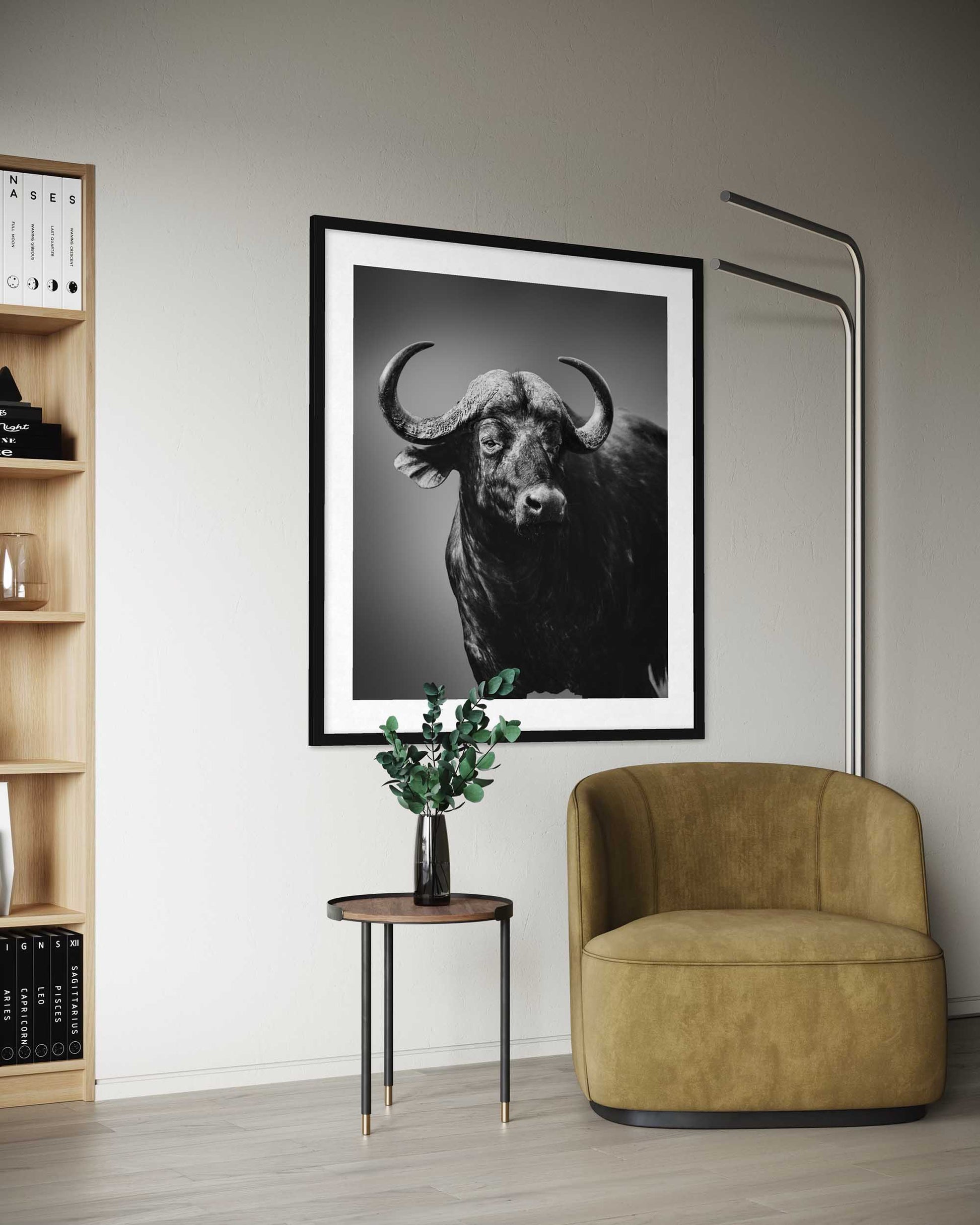 Framed black and white photo of a bull in a modern interior setting with a bookshelf and chair.