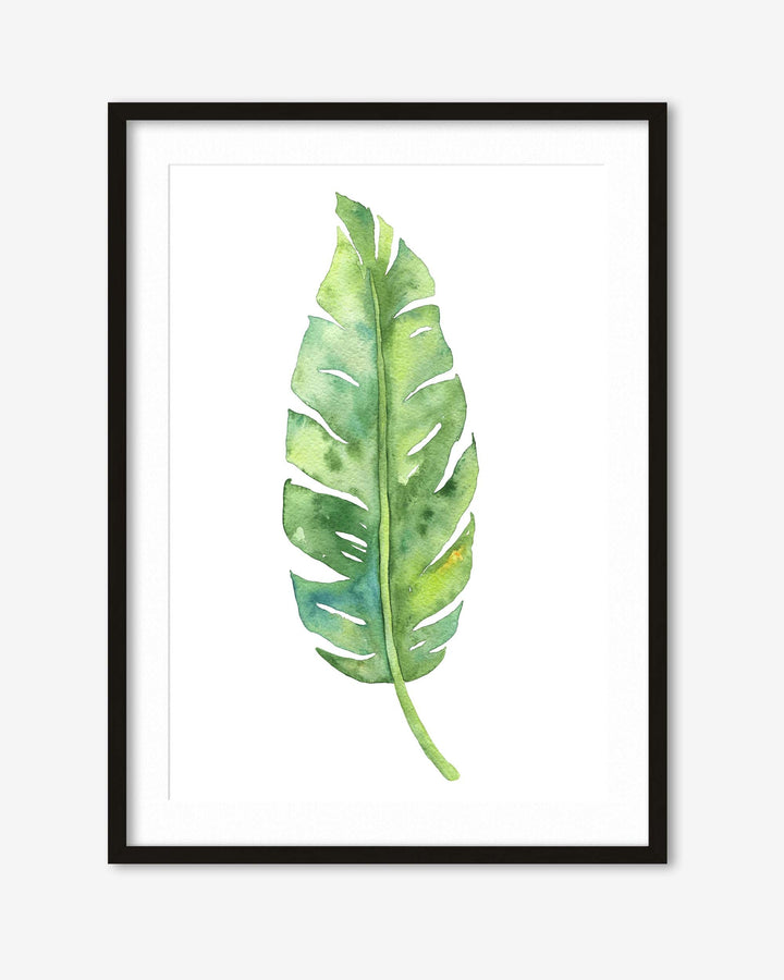 watercolour botanical artwork in a black frame