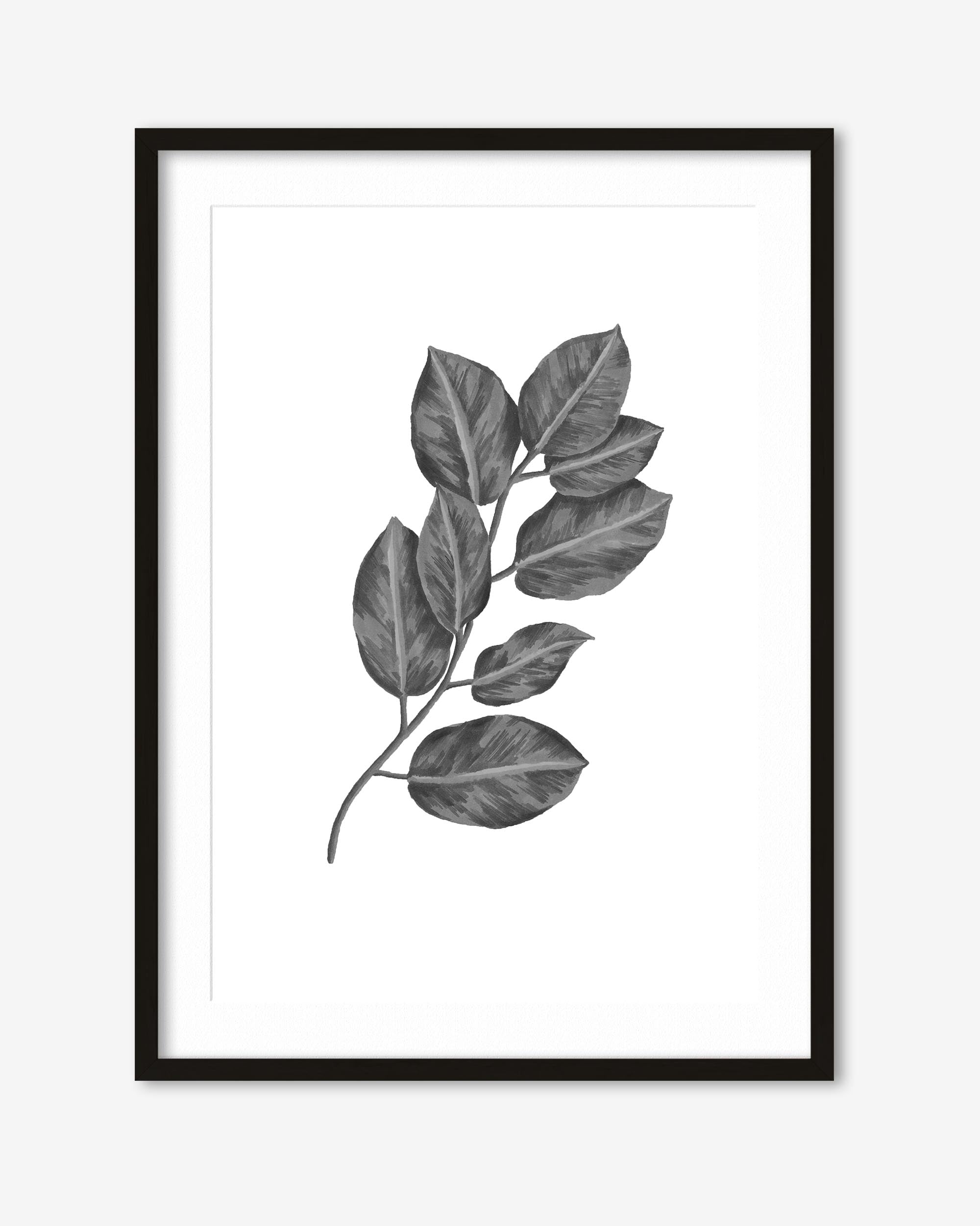 Framed black and white leaf print on a white background
