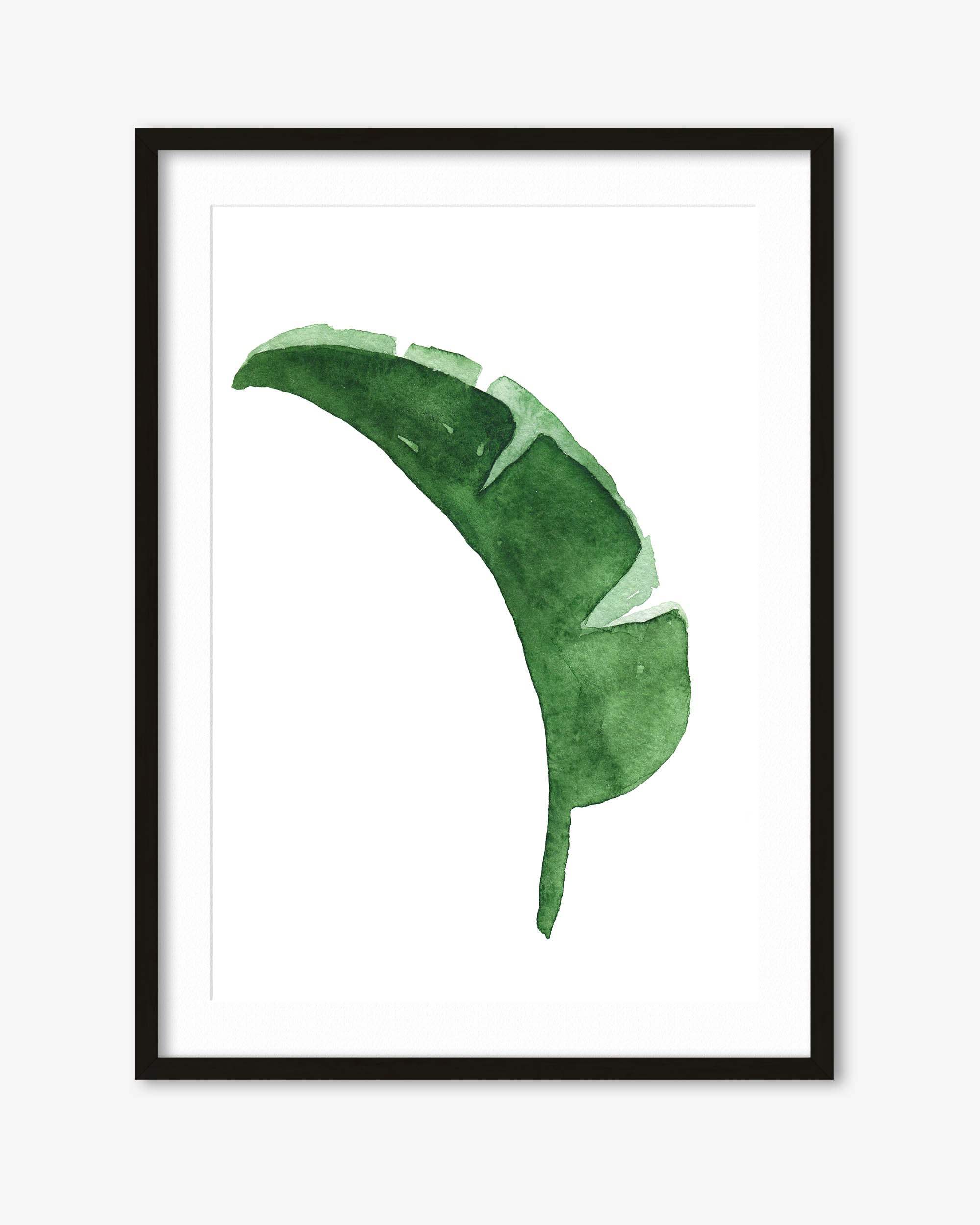 Framed artwork of a green leaf on a white background