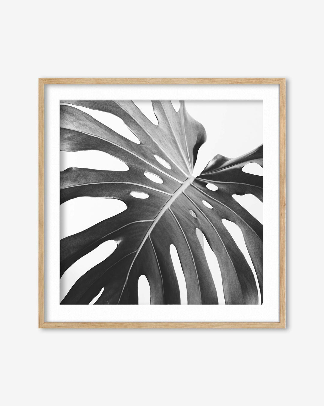 Framed artwork of a monstera leaf on a white background