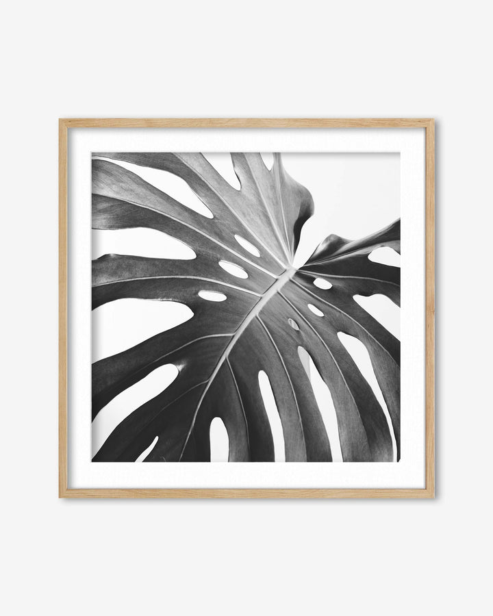 Framed artwork of a monstera leaf on a white background