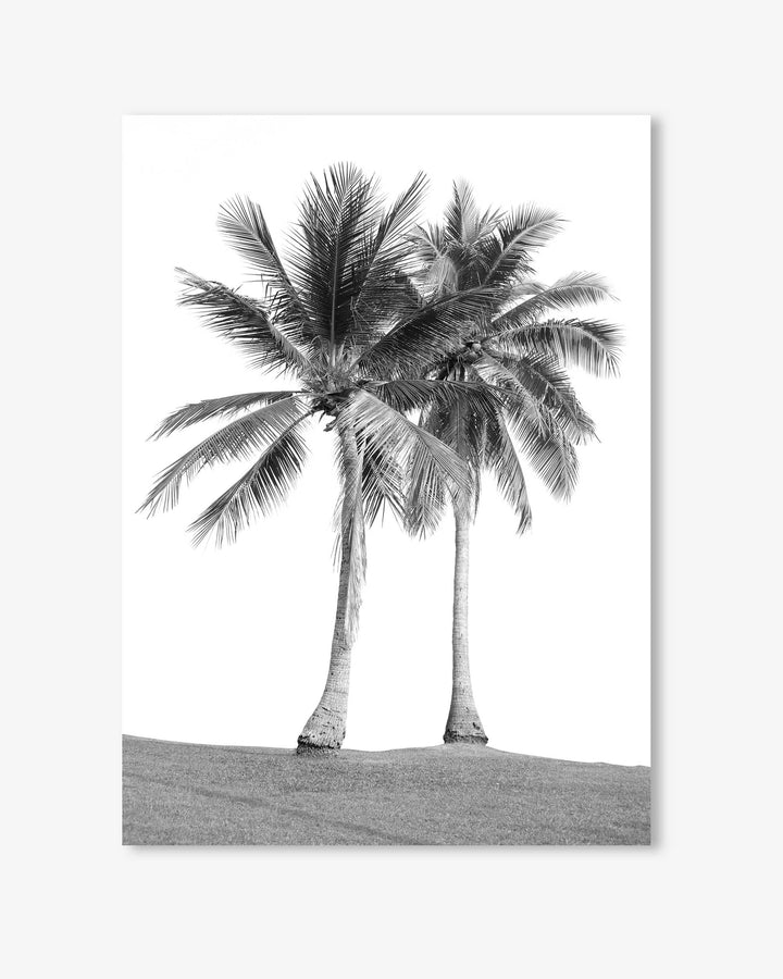 Monochrome Palms Wall Art Print