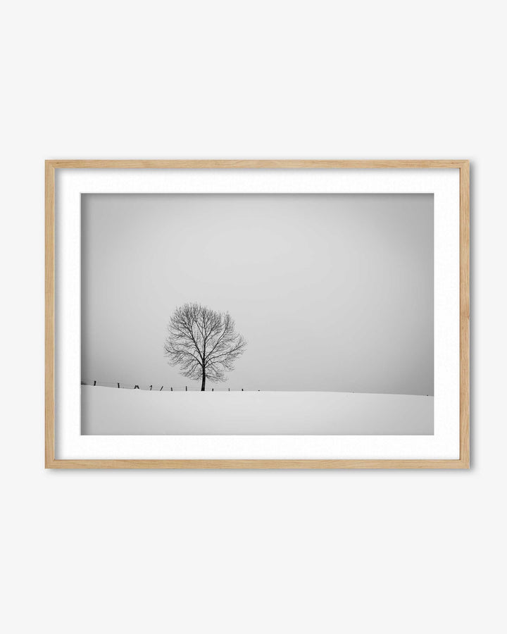 Lone Tree Art Print