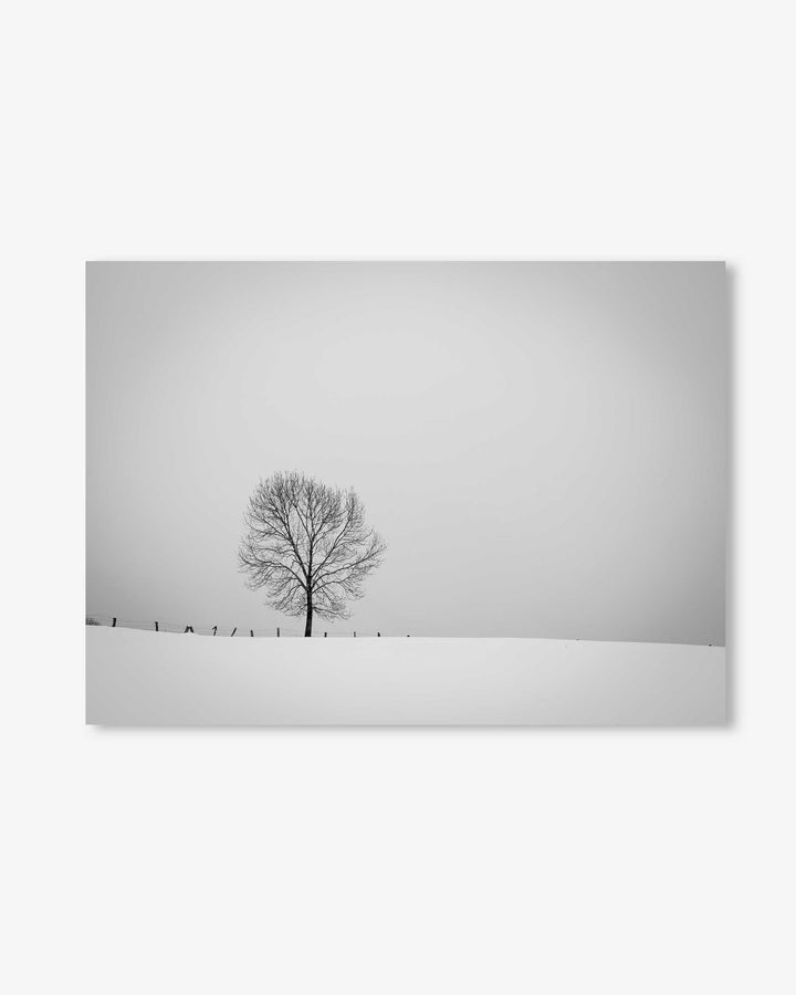 Lone Tree Art Print
