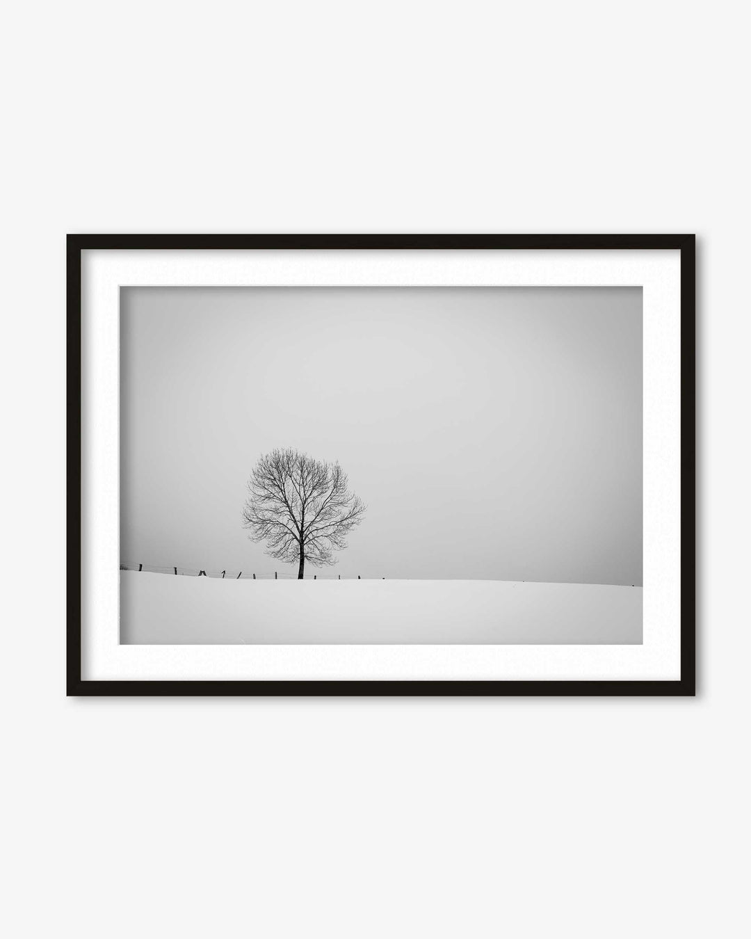 Lone Tree Art Print