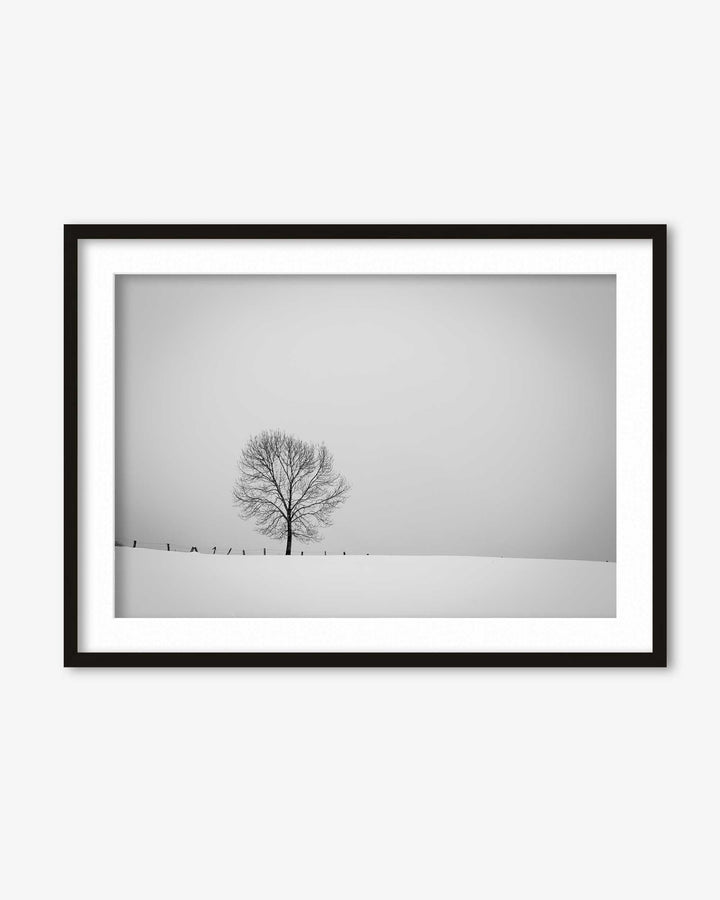 Lone Tree Art Print