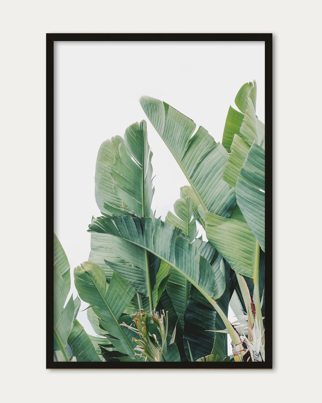 Green Botanical Leaves Wall Art Print