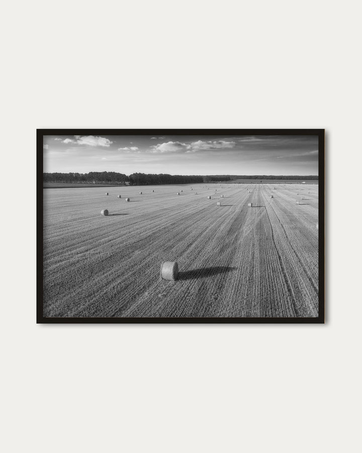 Hay Black And White Wall Art Print
