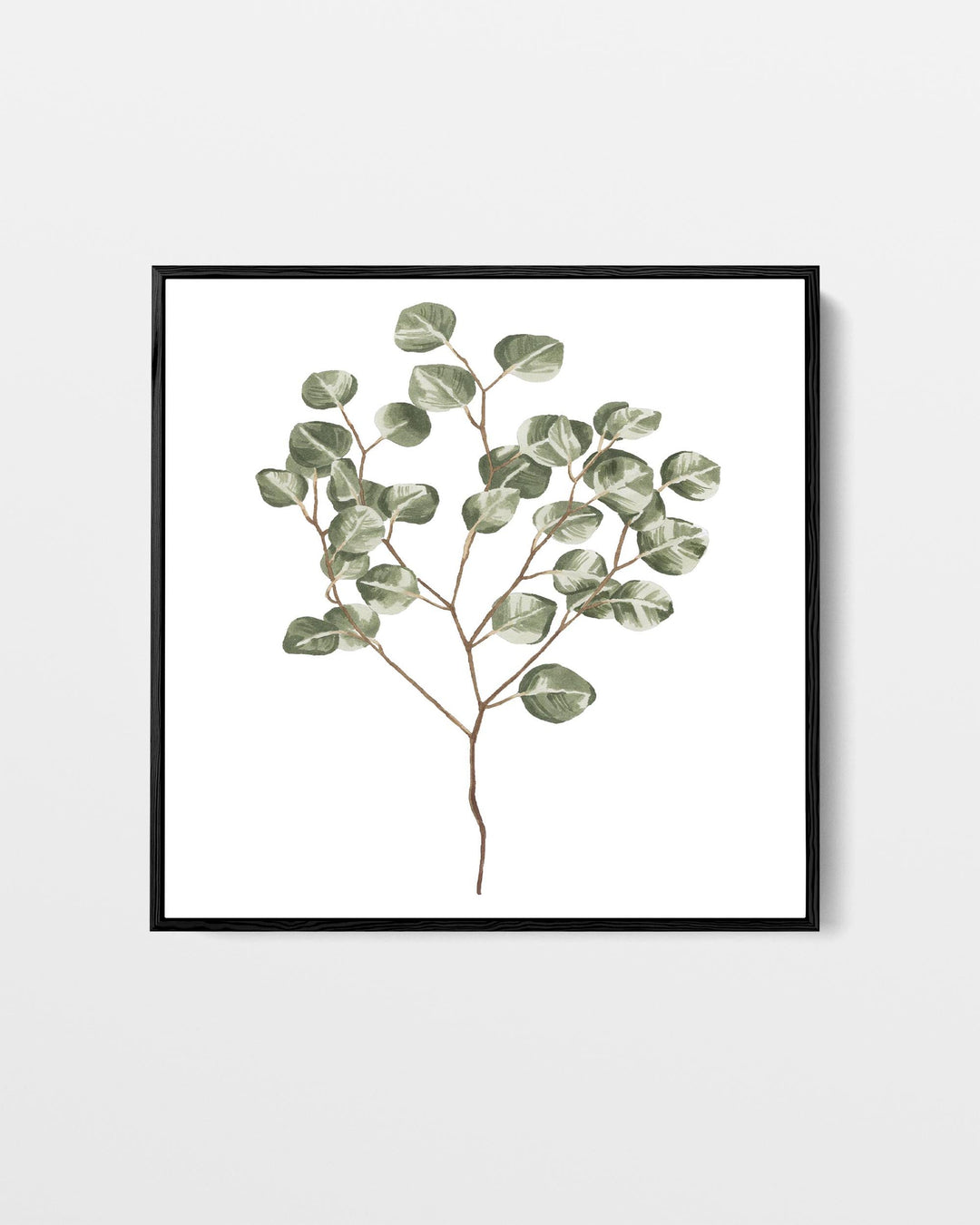Framed artwork of a eucalyptus branch on a white background