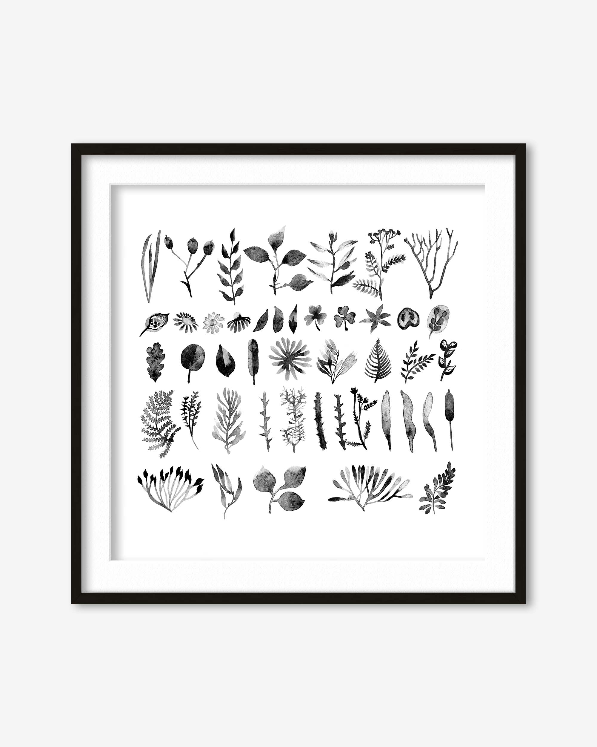 Framed artwork with black botanical illustrations on a white background