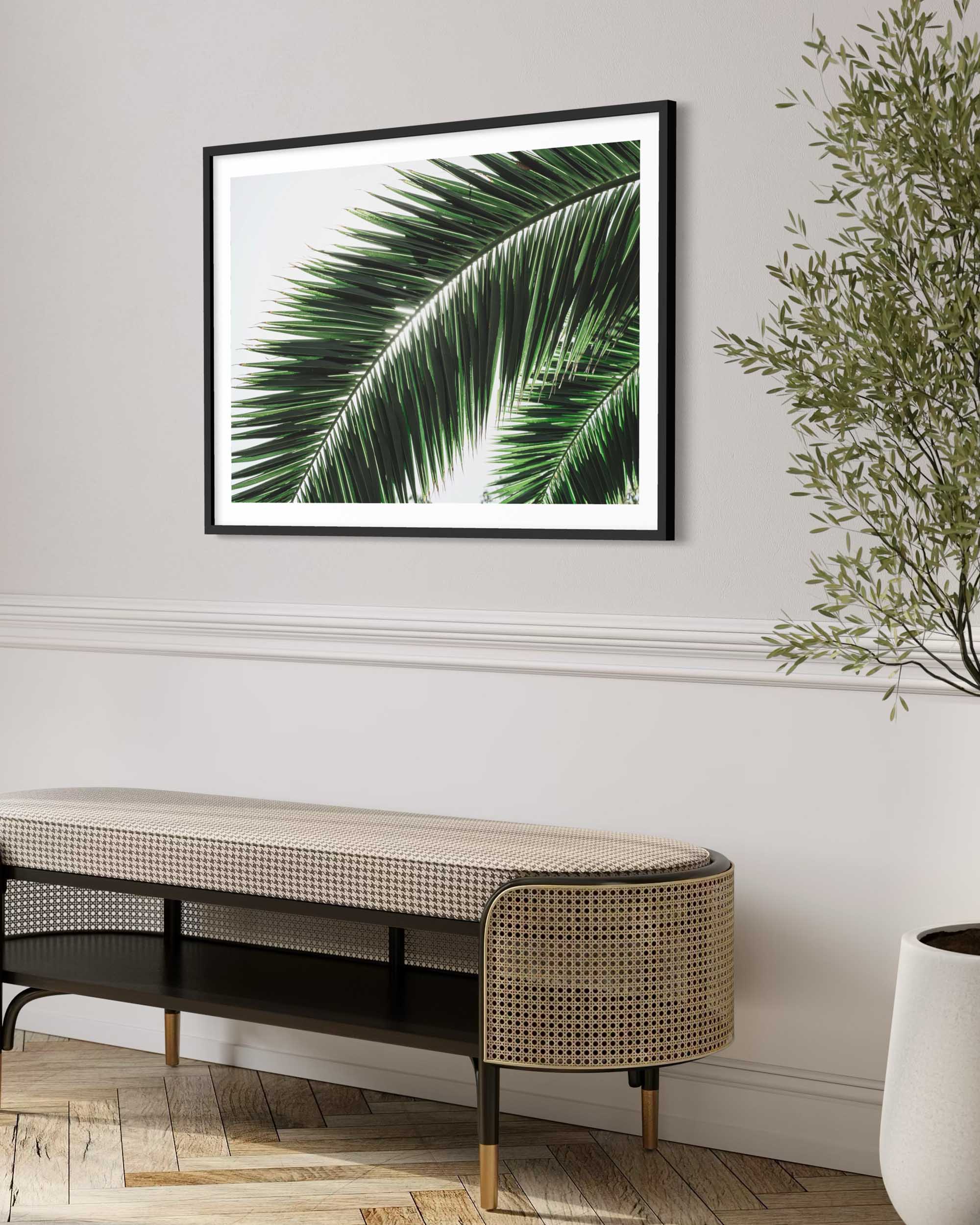 Framed tropical leaf print on a wall above a modern bench.