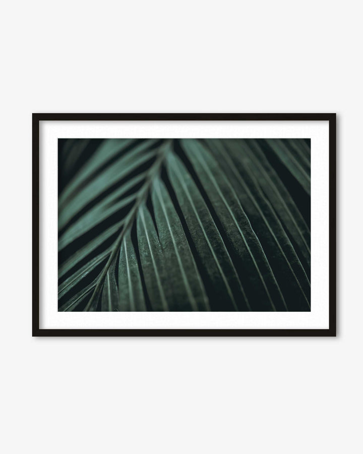 Delicate Leaf Wall Art Print
