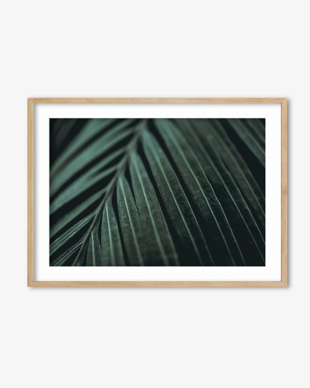 Delicate Leaf Wall Art Print